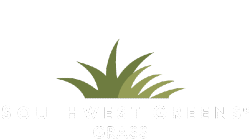 Synthetic Grass by Southwest Greens of Metro New York