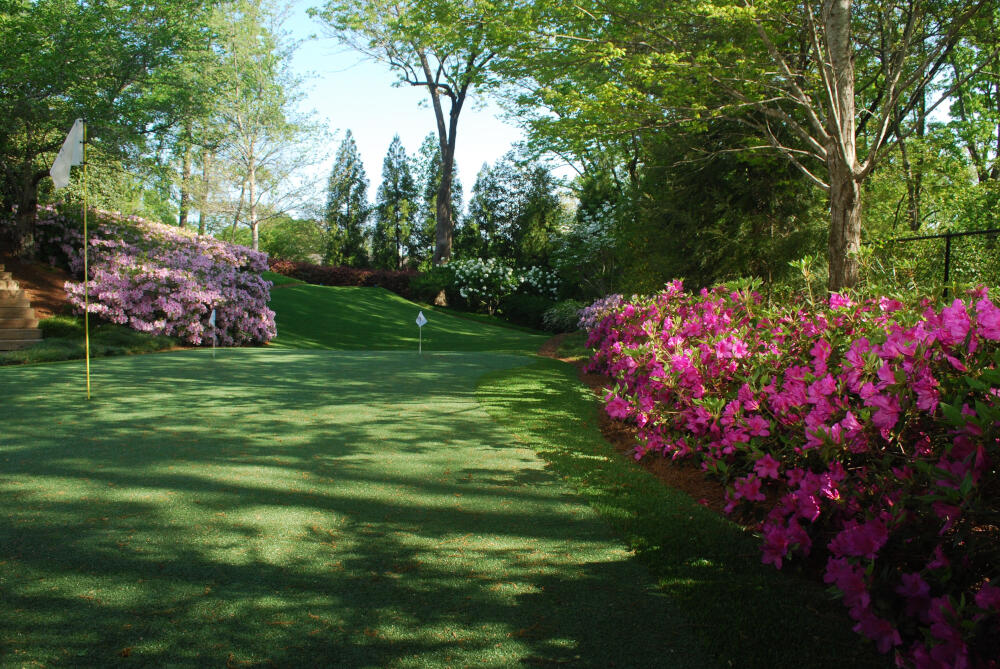 Metro New York backyard putting green grass