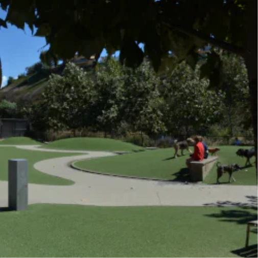 What to Understand Before You Spec a Dog Park Surface in Metro New York