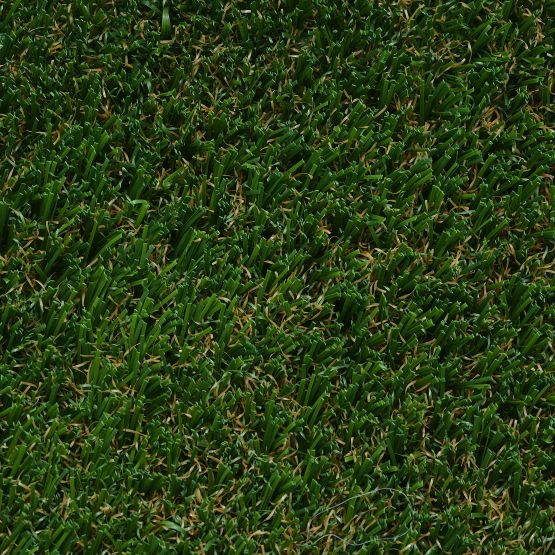 GB113_Fresh Green_303 GB113_Fresh Green_303