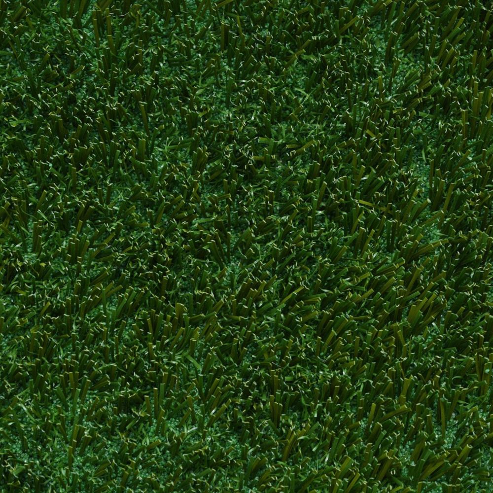 GB113_Olive_302 GB113_Olive_302