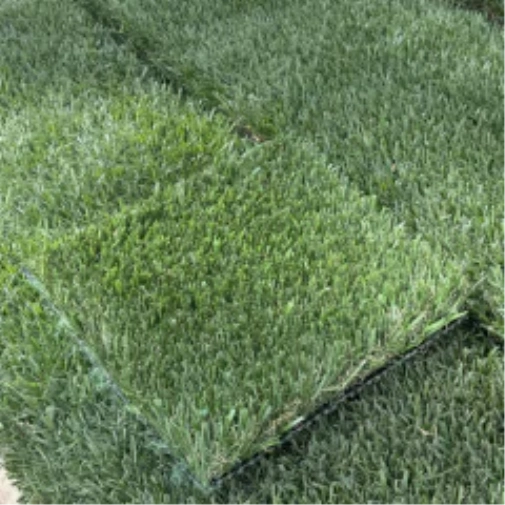 Introducing Wide Blade Turf in Metro New York