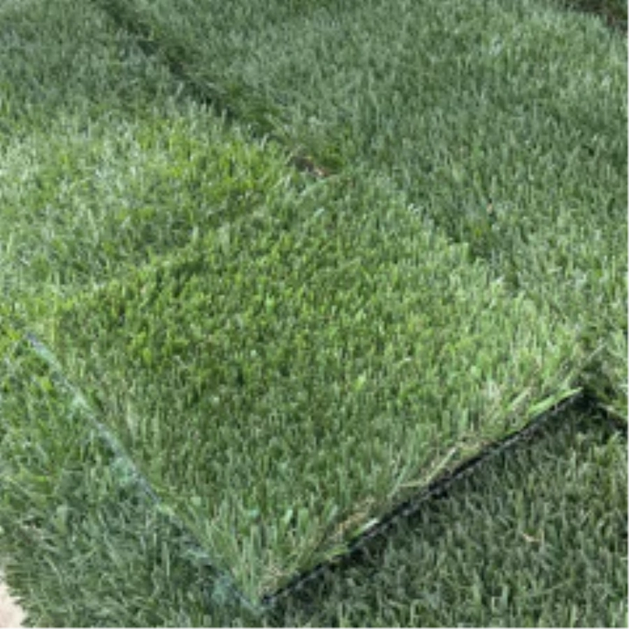 Introducing Wide Blade Turf in Metro New York