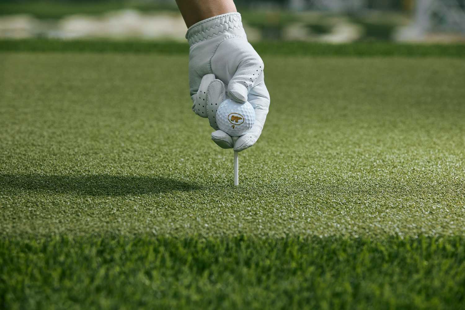 Metro New York driving range