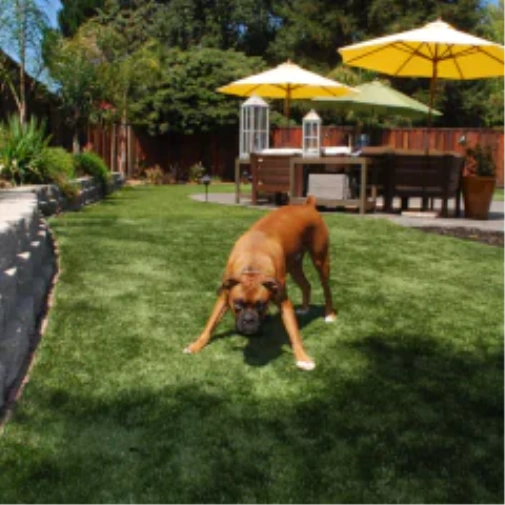 Why fake grass for dogs Transforms Your Metro New York Lawn